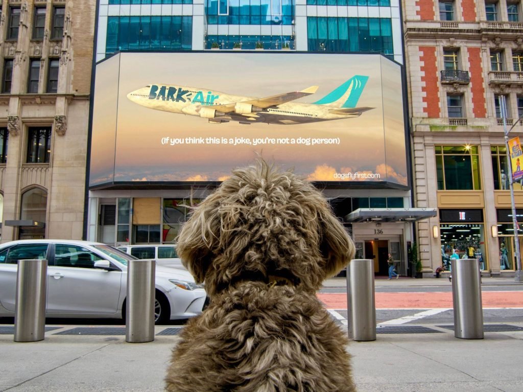 Bark Air - Airline for Dogs. Billboard image showing aircraft CGI for Bark Air.