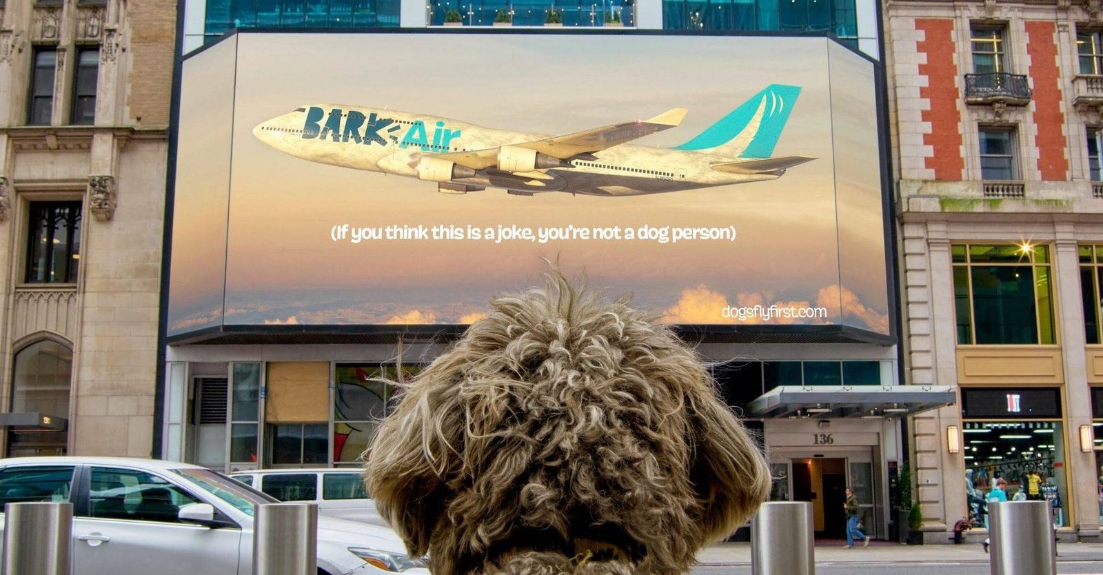 Bark Air - Airline for Dogs. Billboard image showing aircraft CGI for Bark Air.